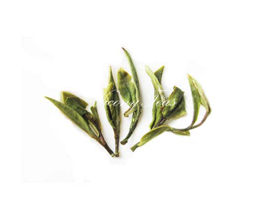 Pai Mu Tan Tea | White Peony Brewed Tea Leaves